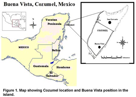 Figure 1. Map showing Cozumel location and Buena Vista position in the island. Click on image to enlarge.