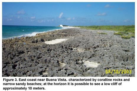 Figure 3. East coast near Buena Vista, characterized by coralline rocks and narrow sandy beaches; at the horizon it is possible to see a low cliff of approximately 10 meters.