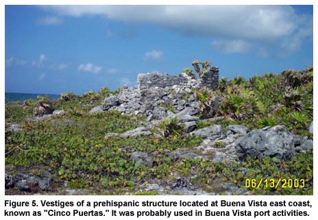 Figure 5. Vestiges of a prehispanic structure located at Buena Vista east coast, known as "Cinco Puertas." It was probably used in Buena Vista port activities.