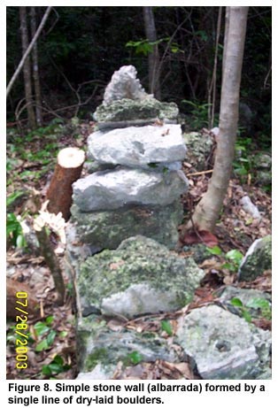 Figure 8. Simple stone wall (albarrada) formed by a single line of dry-laid boulders.