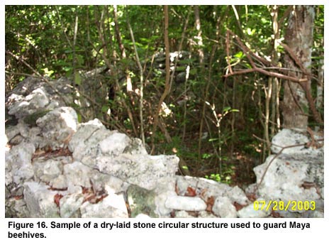 Figure 16. Sample of a dry-laid stone circular structure used to guard Maya beehives.