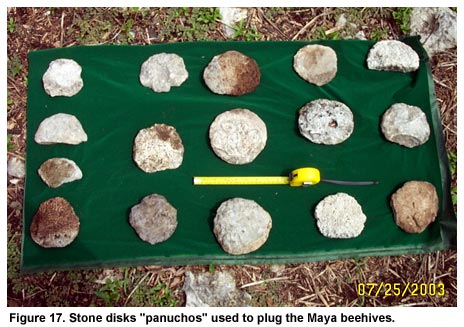 Figure 17. Stone disks "panuchos" used to plug the Maya beehives.