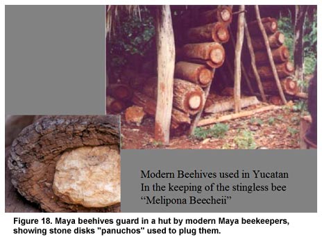 Figure 18. Maya beehives guard in a hut by modern Maya beekeepers, showing stone disks "panuchos" used to plug them.