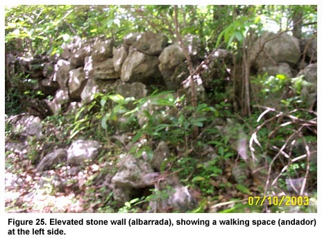 Figure 25. Elevated stone wall (albarrada), showing a walking space (andador) at the left side.