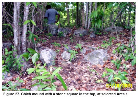 Figure 27. Chich mound with a stone square in the top, at selected Area 1.