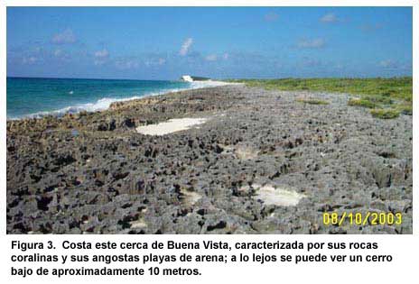 Figura 3. Costa este cerca de Buena Vista, caracterizada por sus rocas coralinas y sus angostas playas de arena; a lo lejos se puede ver un cerro bajo de aproximadamente 10 metros.