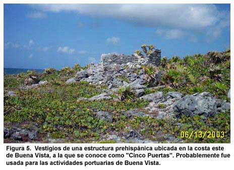 Figura 5. Vestigios de una estructura prehispánica ubicada en la costa este de Buena Vista, a la que se conoce como "Cinco Puertas". Probablemente fue usada para las actividades portuarias de Buena Vista.