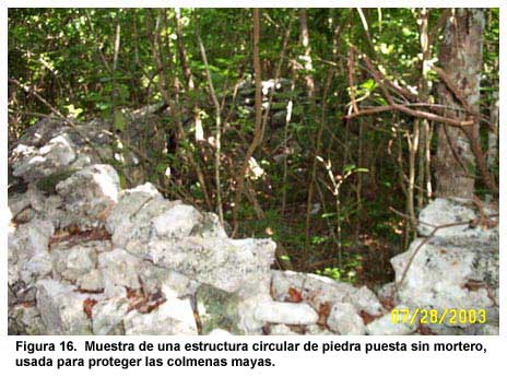 Figura 16. Muestra de una estructura circular de piedra puesta sin mortero, usada para proteger las colmenas mayas.