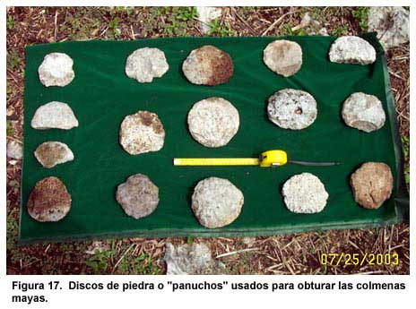 Figura 17. Discos de piedra o "panuchos" usados para obturar las colmenas mayas.