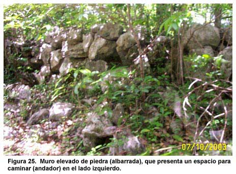 Figura 25. Muro elevado de piedra (albarrada), que presenta un espacio para caminar (andador) en el lado izquierdo.