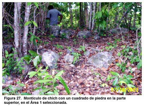 Figura 27. Montículo de chich con un cuadrado de piedra en la parte superior, en el Área 1 seleccionada.