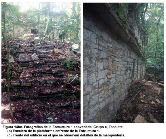 Figura 14bc. Fotografías de la Estructura 1 abovedada, Grupo A, Tecolote. (b) Escalera de la plataforma frente a la Estructura 1. (c) Frente del edificio mostrando detalles de la mampostería.