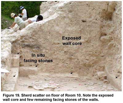 Figure 19. Sherd scatter on floor of Room 10. Note the exposed wall core and few remaining facing stones of the walls. Click to enlarge.