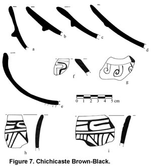 Figure 7. Chichicaste Brown-Black.