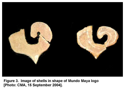 Figure 3. Image of shells in shape of Mundo Maya logo [Photo: CMA, 15 September 2004].