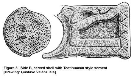 Figure 5. Side B, carved shell with Teotihuacán style serpent [Drawing: Gustavo Valenzuela].