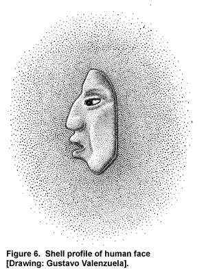 Figure 6. Shell profile of human face [Drawing: Gustavo Valenzuela].