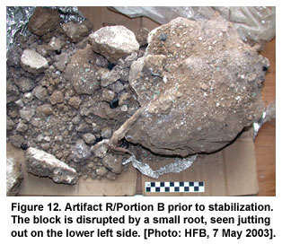 Figure 12. Artifact R/Portion B prior to stabilization. The block is disrupted by a small root, seen jutting out on the lower left side. [Photo: HFB, 7 May 2003].