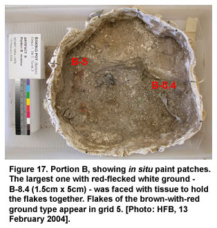 Figure 17. Portion B, showing in situ paint patches. The largest one with red-flecked white ground – B-8.4 (1.5cm x 5cm) – was faced with tissue to hold the flakes together. Flakes of the brown-with-red ground type appear in grid 5. [Photo: HFB, 13 February 2004].