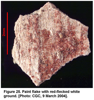 Figure 25. Paint flake with red-flecked white ground. [Photo: CGC, 9 March 2004].