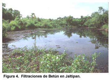 Figura 4. Filtraciones de Betún en Jaltipan.