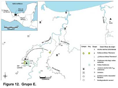 Figura 12. Grupo E.